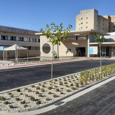 OB20532-EDIF2-scaled